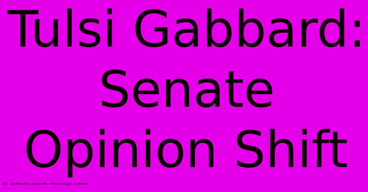 Tulsi Gabbard: Senate Opinion Shift