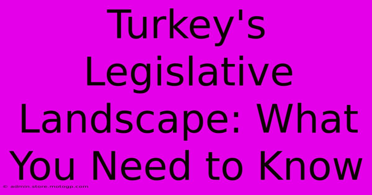 Turkey's Legislative Landscape: What You Need To Know