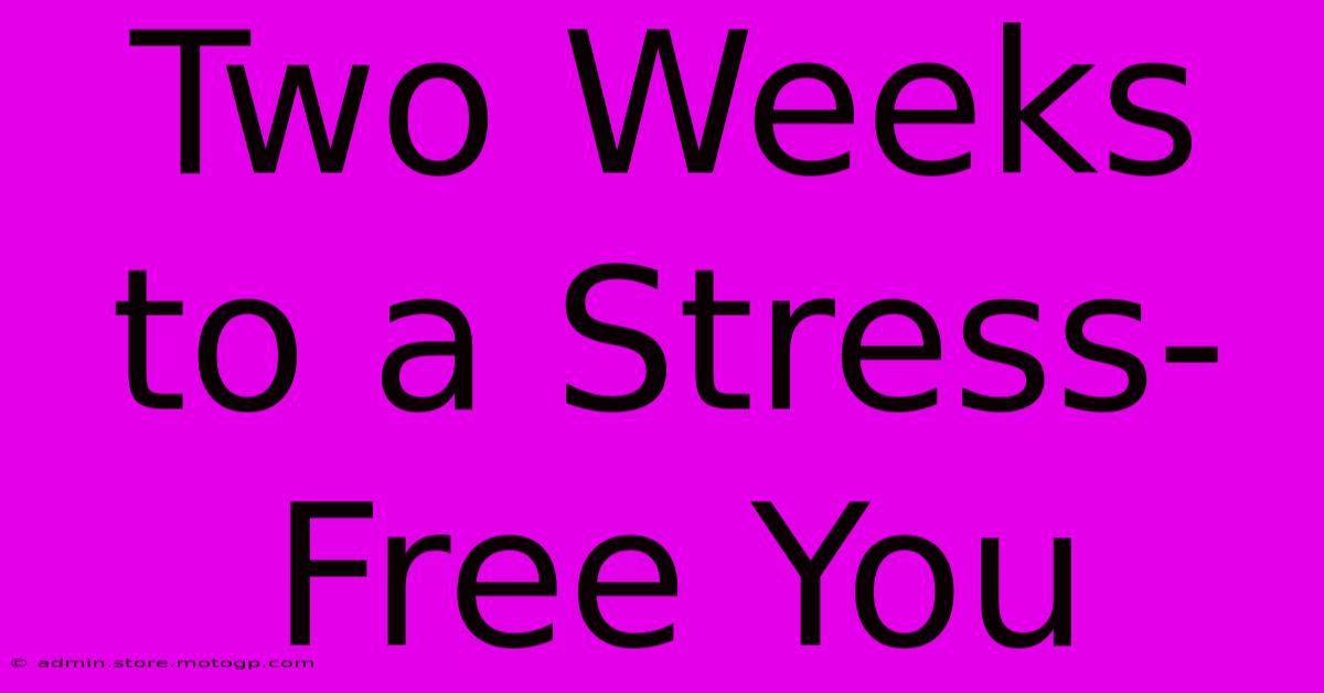 Two Weeks To A Stress-Free You