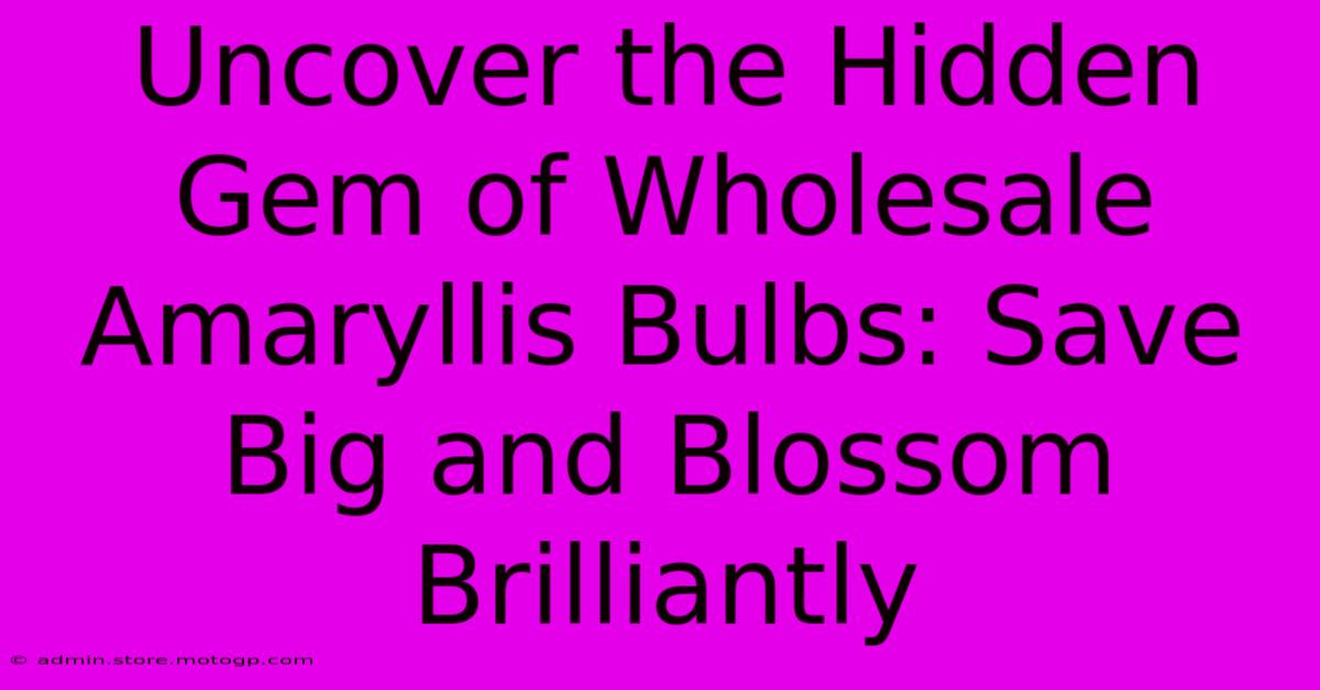 Uncover The Hidden Gem Of Wholesale Amaryllis Bulbs: Save Big And Blossom Brilliantly