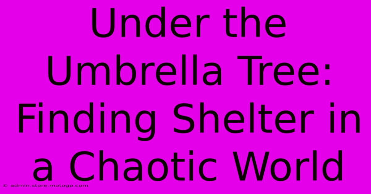 Under The Umbrella Tree: Finding Shelter In A Chaotic World