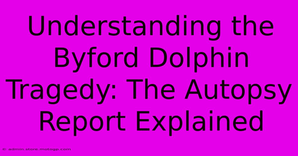 Understanding The Byford Dolphin Tragedy: The Autopsy Report Explained