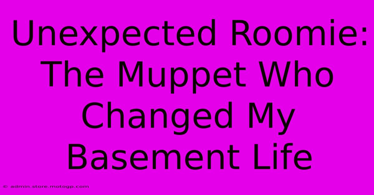 Unexpected Roomie: The Muppet Who Changed My Basement Life