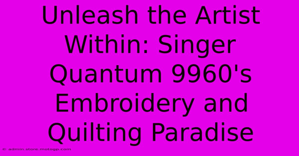 Unleash The Artist Within: Singer Quantum 9960's Embroidery And Quilting Paradise