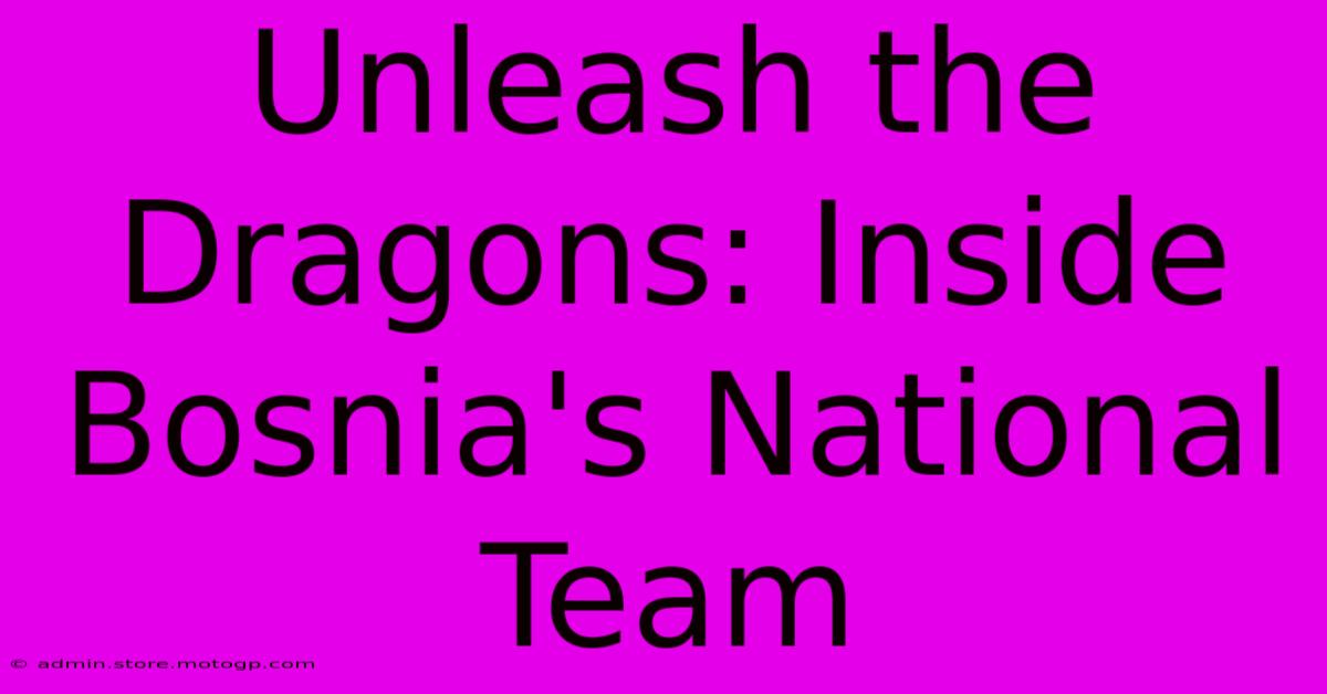 Unleash The Dragons: Inside Bosnia's National Team