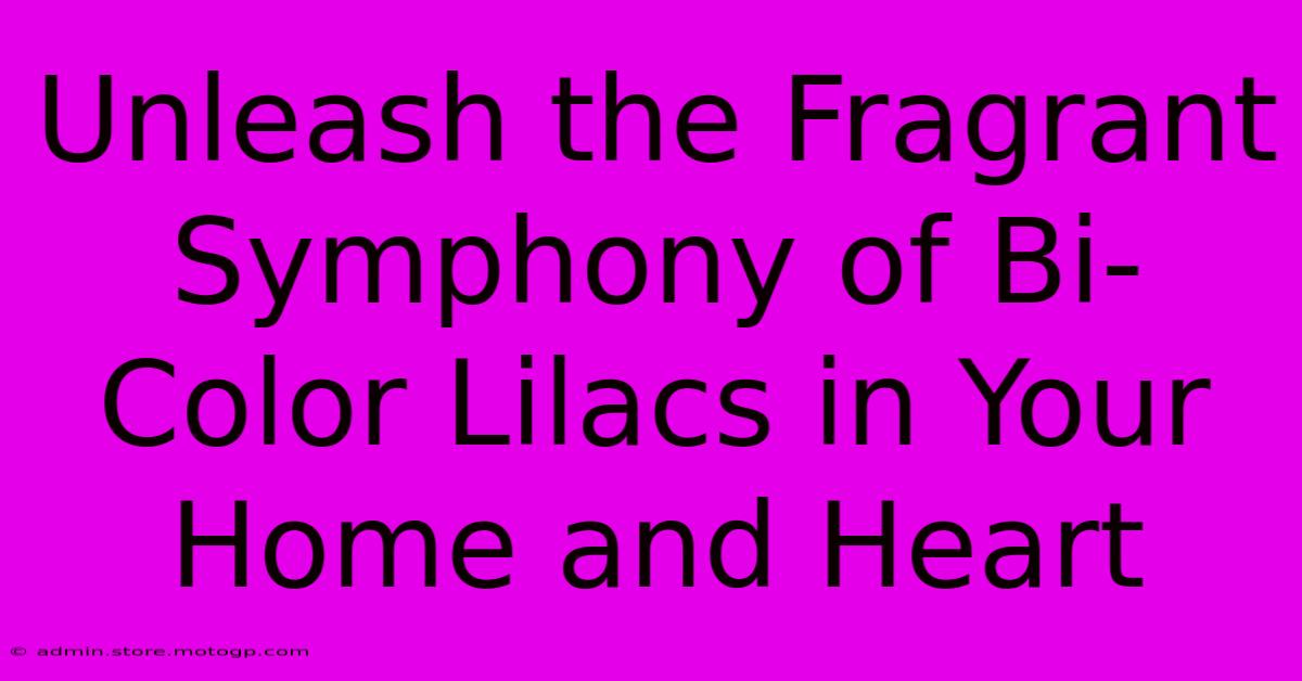 Unleash The Fragrant Symphony Of Bi-Color Lilacs In Your Home And Heart