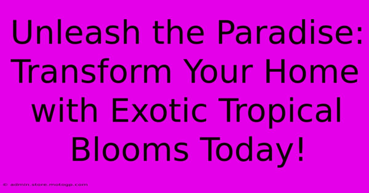 Unleash The Paradise: Transform Your Home With Exotic Tropical Blooms Today!