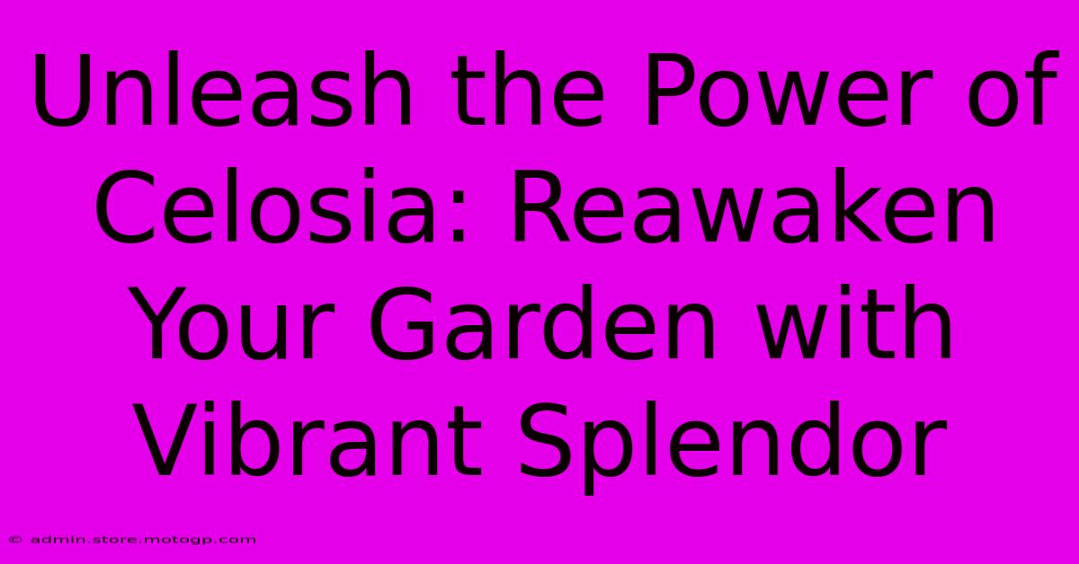 Unleash The Power Of Celosia: Reawaken Your Garden With Vibrant Splendor