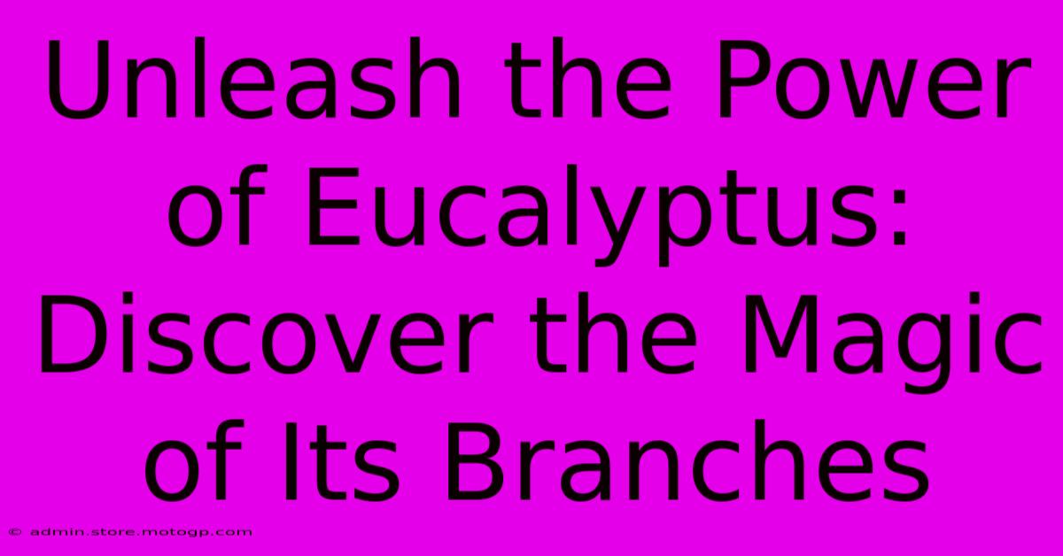 Unleash The Power Of Eucalyptus: Discover The Magic Of Its Branches