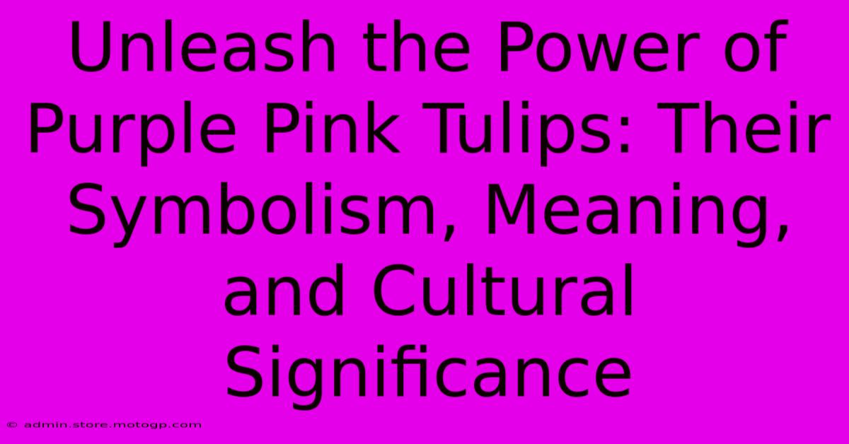 Unleash The Power Of Purple Pink Tulips: Their Symbolism, Meaning, And Cultural Significance