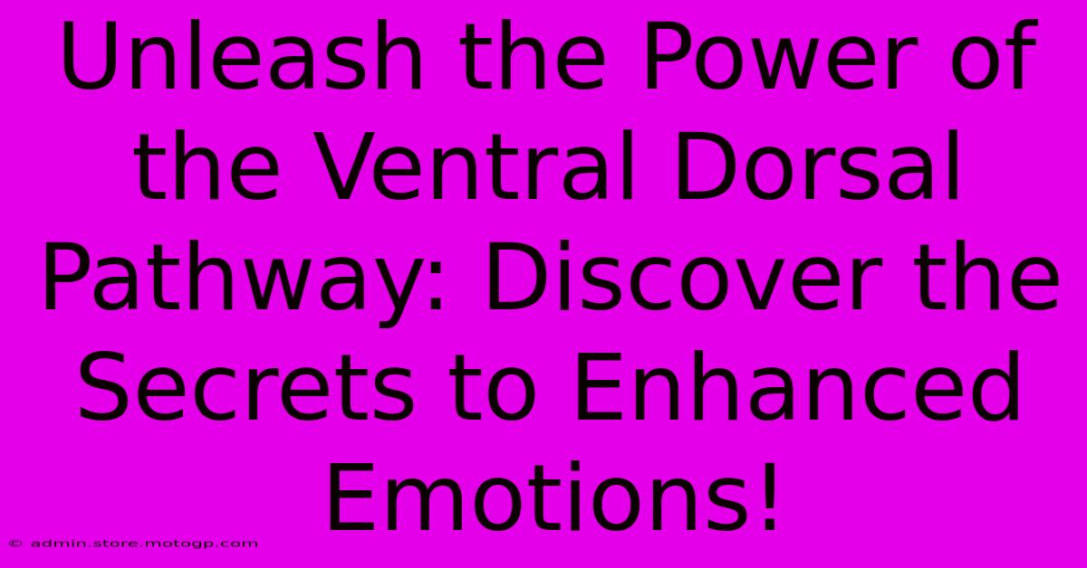 Unleash The Power Of The Ventral Dorsal Pathway: Discover The Secrets To Enhanced Emotions!