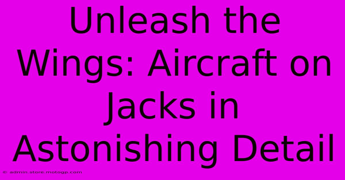 Unleash The Wings: Aircraft On Jacks In Astonishing Detail