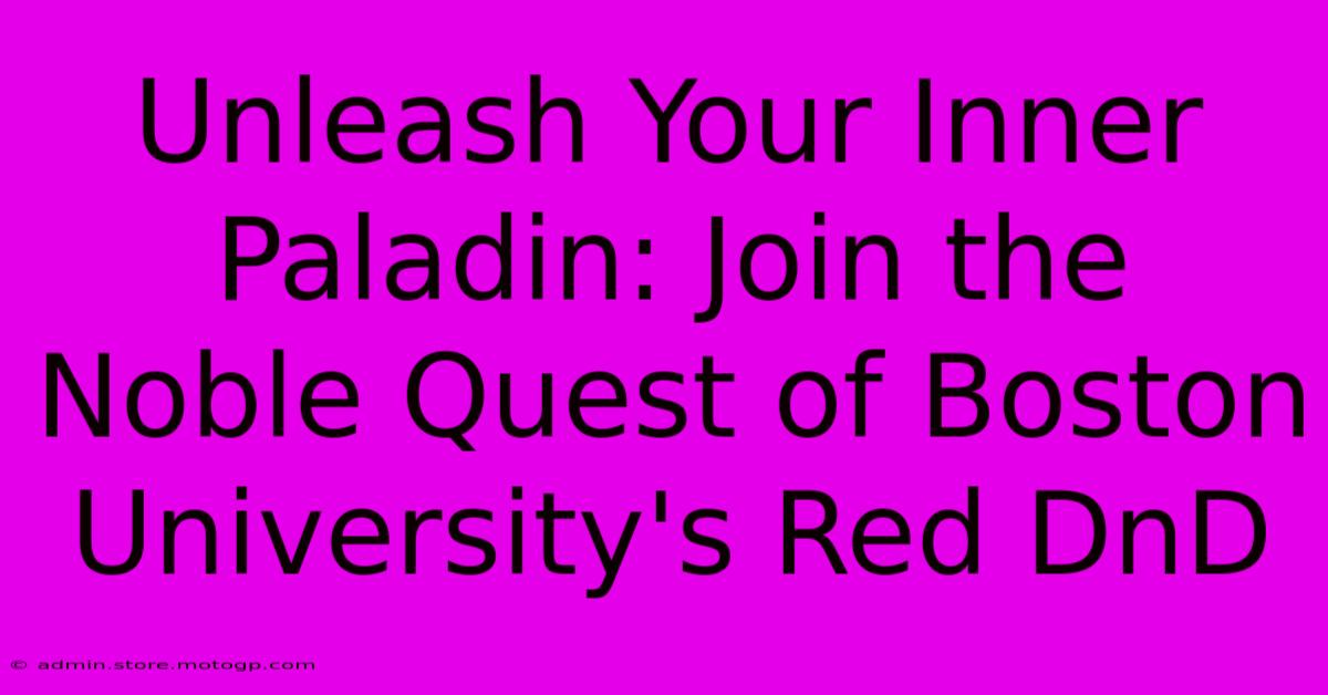 Unleash Your Inner Paladin: Join The Noble Quest Of Boston University's Red DnD