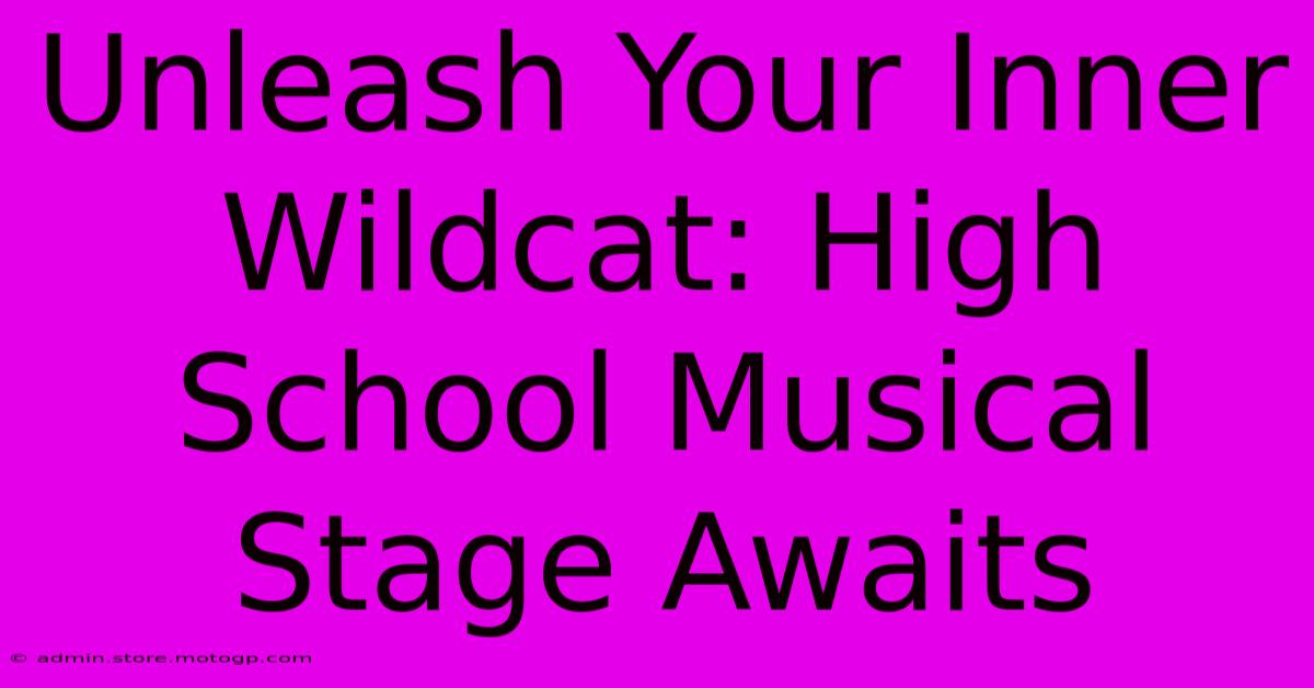 Unleash Your Inner Wildcat: High School Musical Stage Awaits