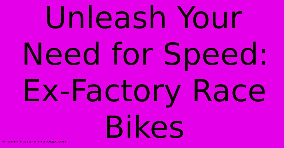 Unleash Your Need For Speed: Ex-Factory Race Bikes