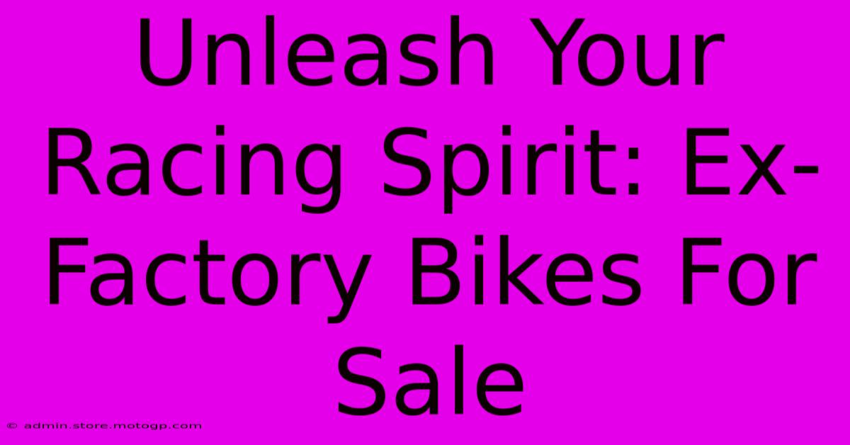 Unleash Your Racing Spirit: Ex-Factory Bikes For Sale