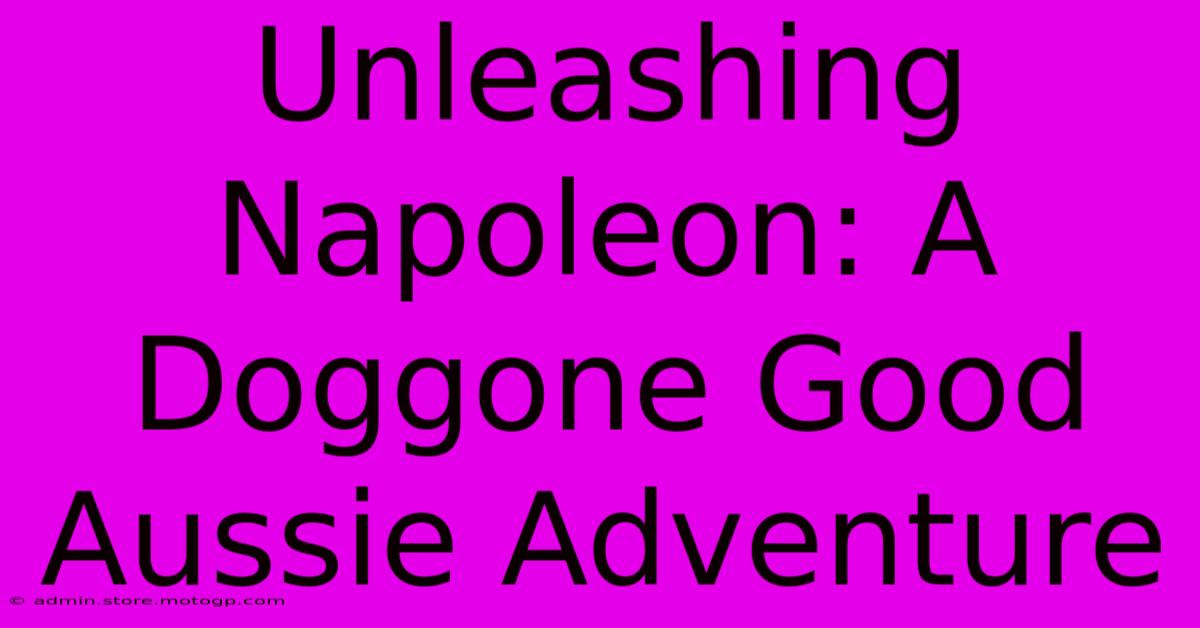 Unleashing Napoleon: A Doggone Good Aussie Adventure