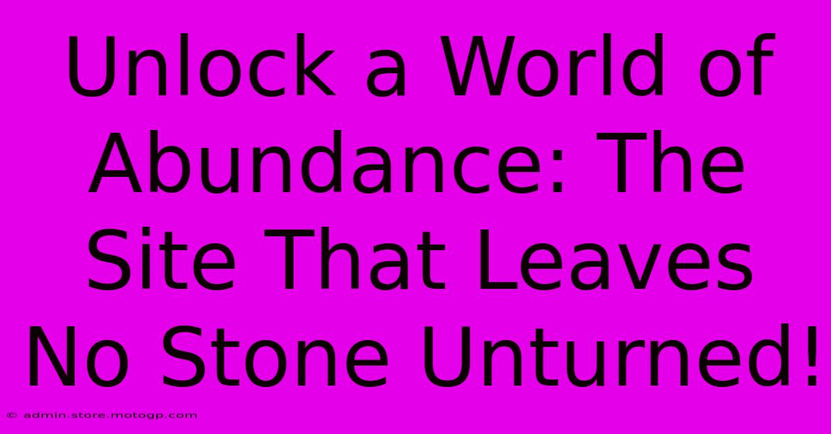 Unlock A World Of Abundance: The Site That Leaves No Stone Unturned!