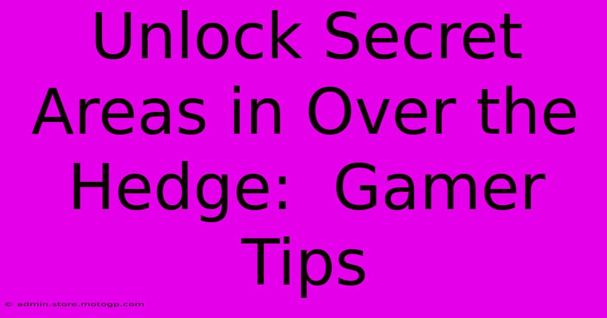 Unlock Secret Areas In Over The Hedge:  Gamer Tips