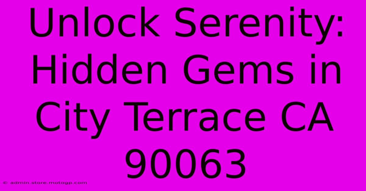 Unlock Serenity: Hidden Gems In City Terrace CA 90063