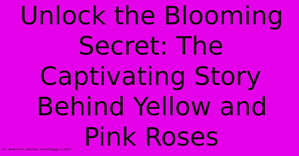 Unlock The Blooming Secret: The Captivating Story Behind Yellow And Pink Roses