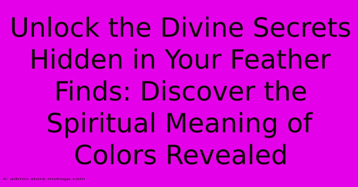 Unlock The Divine Secrets Hidden In Your Feather Finds: Discover The Spiritual Meaning Of Colors Revealed