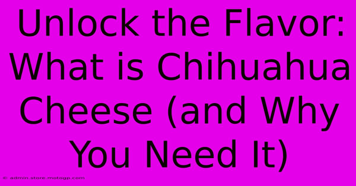 Unlock The Flavor: What Is Chihuahua Cheese (and Why You Need It)