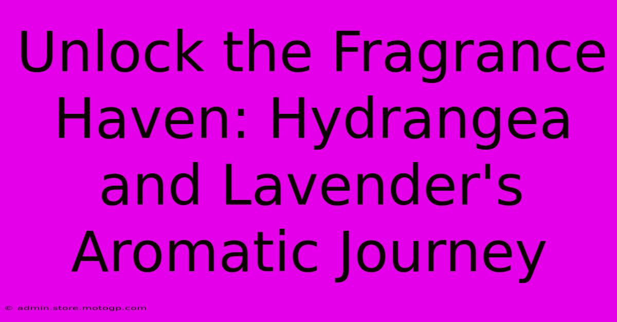 Unlock The Fragrance Haven: Hydrangea And Lavender's Aromatic Journey