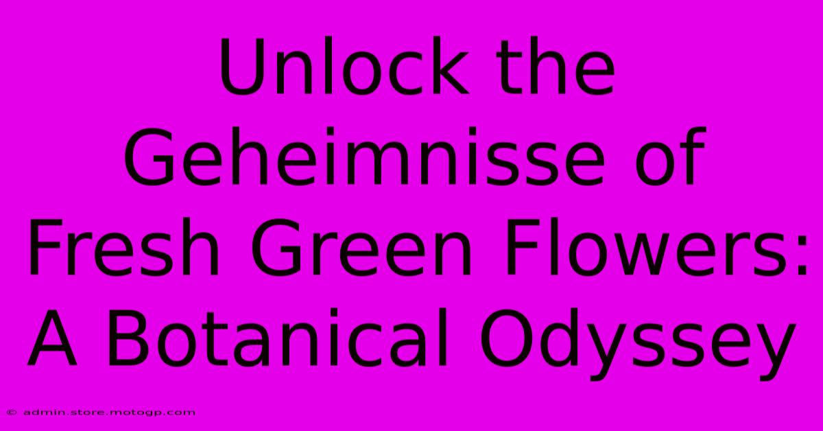 Unlock The Geheimnisse Of Fresh Green Flowers: A Botanical Odyssey