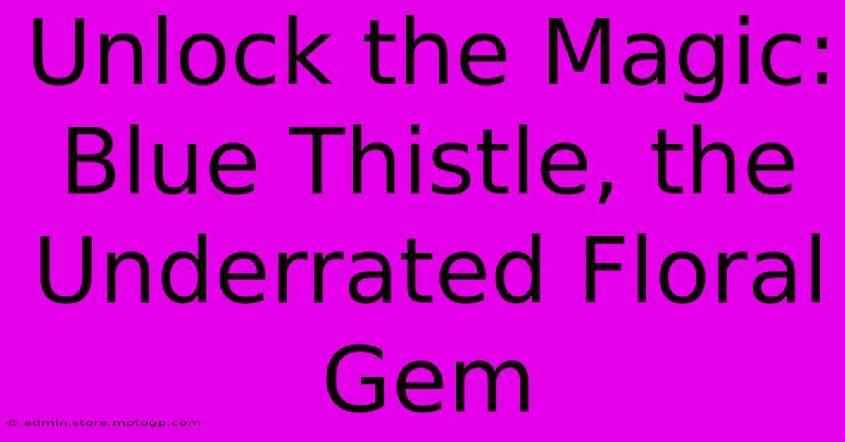 Unlock The Magic: Blue Thistle, The Underrated Floral Gem