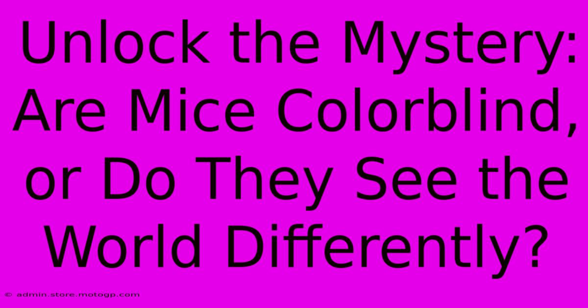 Unlock The Mystery: Are Mice Colorblind, Or Do They See The World Differently?