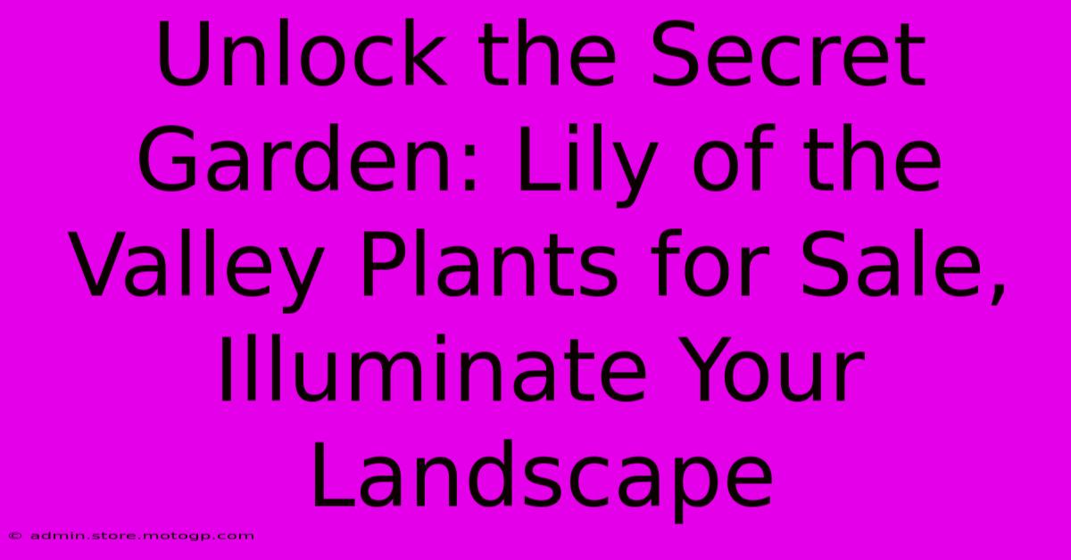 Unlock The Secret Garden: Lily Of The Valley Plants For Sale, Illuminate Your Landscape