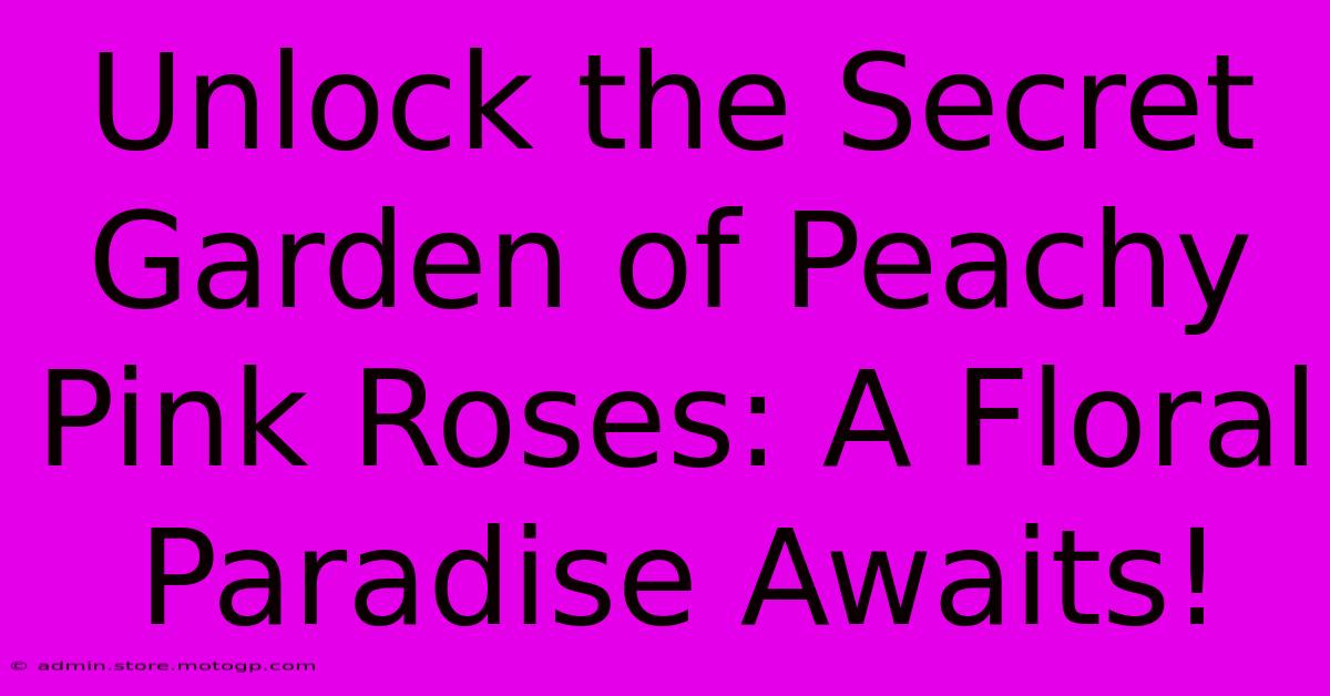 Unlock The Secret Garden Of Peachy Pink Roses: A Floral Paradise Awaits!