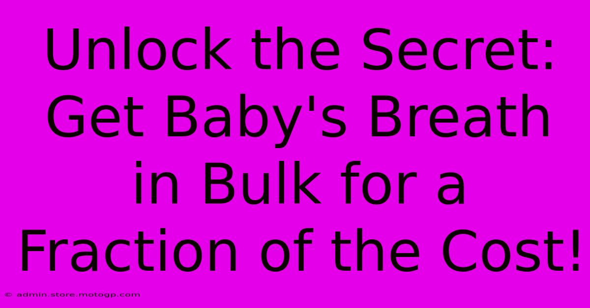 Unlock The Secret: Get Baby's Breath In Bulk For A Fraction Of The Cost!