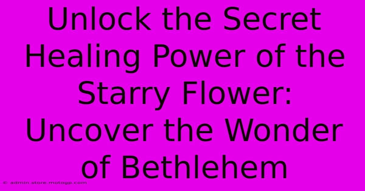 Unlock The Secret Healing Power Of The Starry Flower: Uncover The Wonder Of Bethlehem