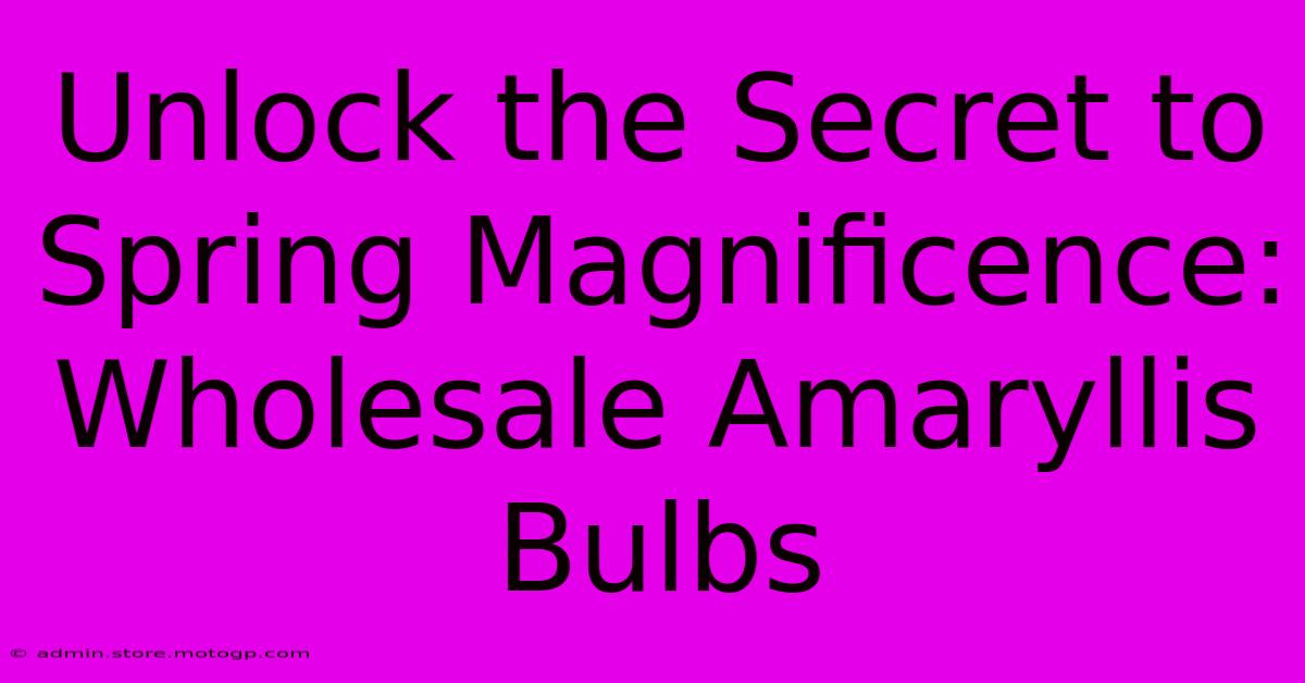 Unlock The Secret To Spring Magnificence: Wholesale Amaryllis Bulbs