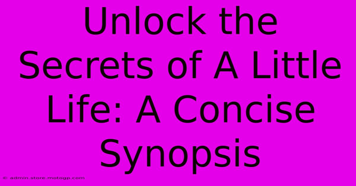 Unlock The Secrets Of A Little Life: A Concise Synopsis