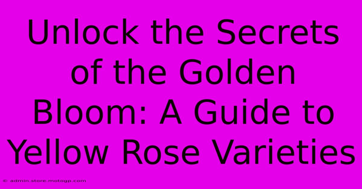 Unlock The Secrets Of The Golden Bloom: A Guide To Yellow Rose Varieties