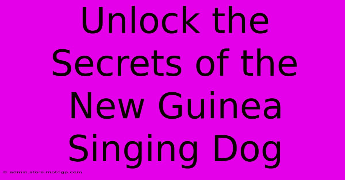 Unlock The Secrets Of The New Guinea Singing Dog