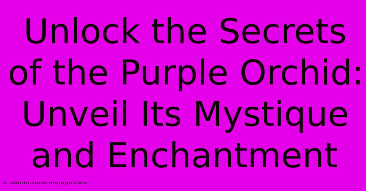 Unlock The Secrets Of The Purple Orchid: Unveil Its Mystique And Enchantment