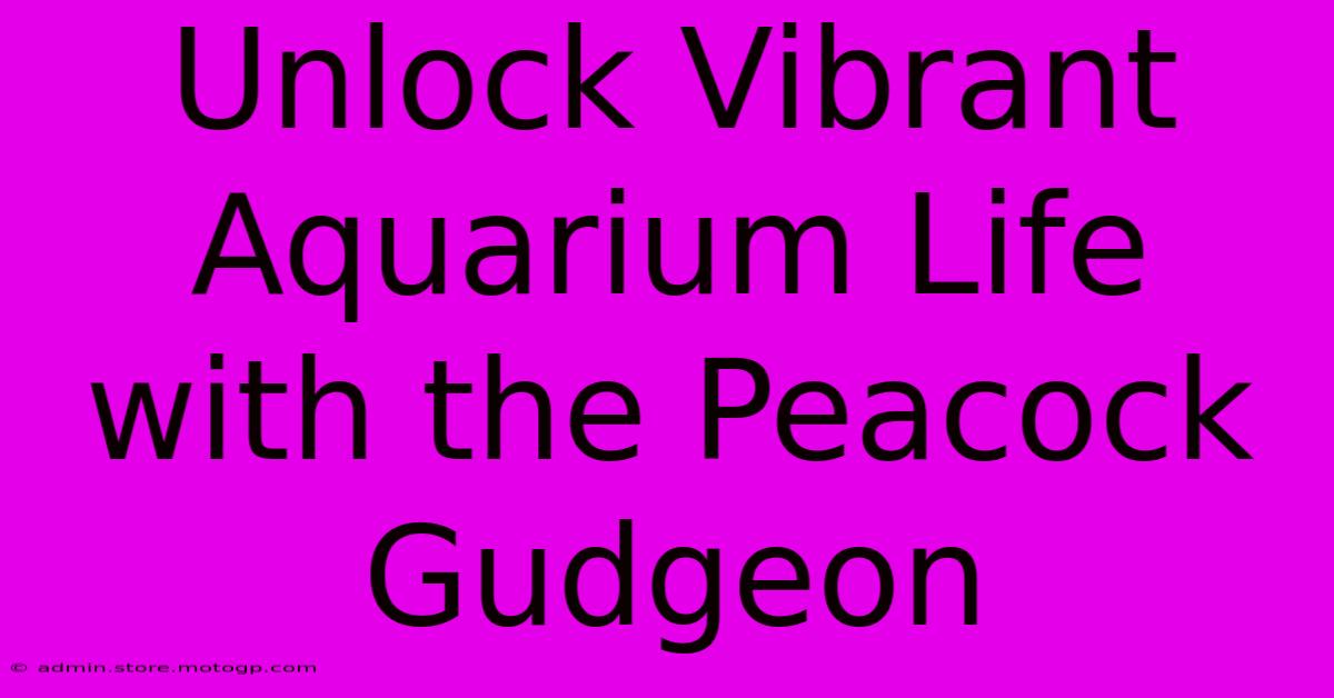 Unlock Vibrant Aquarium Life With The Peacock Gudgeon