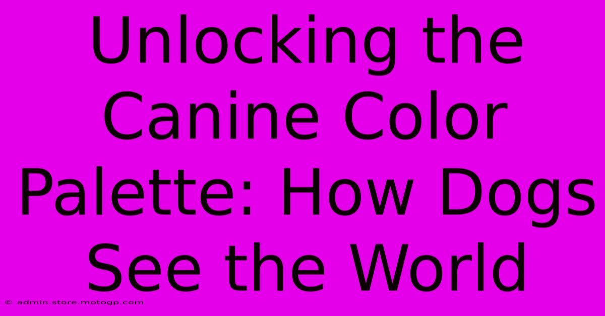 Unlocking The Canine Color Palette: How Dogs See The World