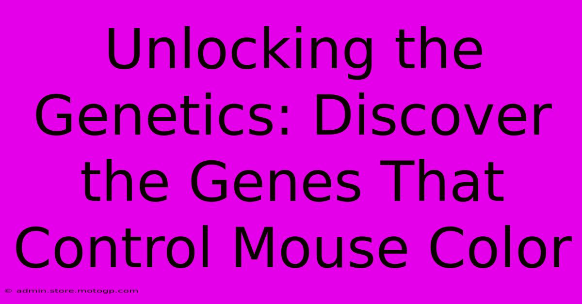 Unlocking The Genetics: Discover The Genes That Control Mouse Color