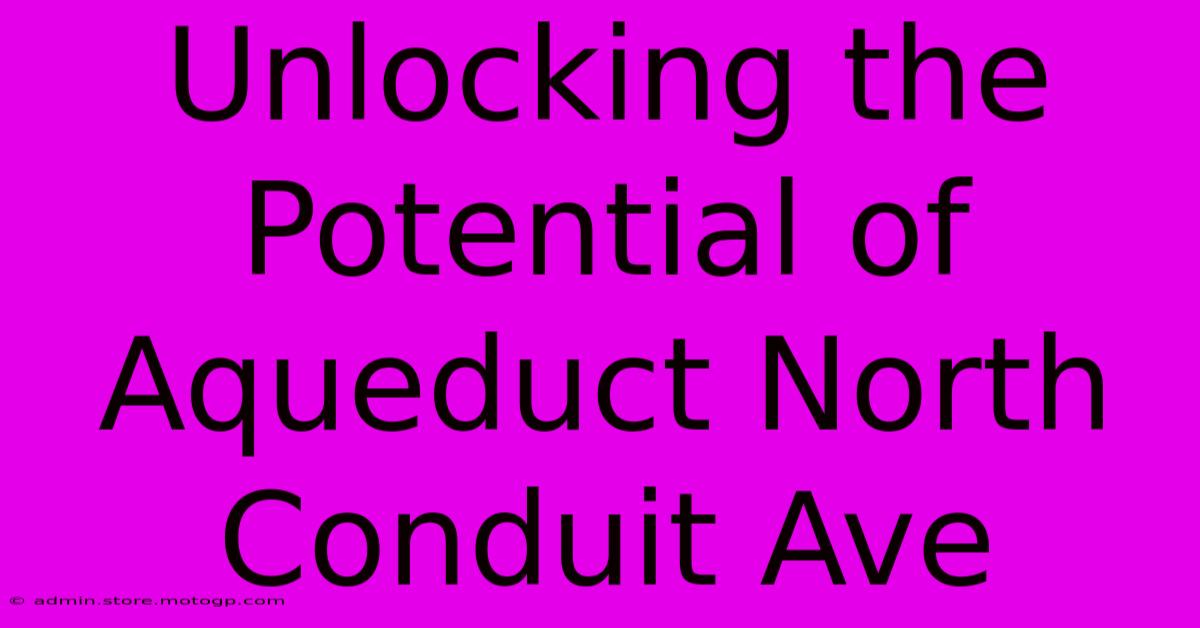 Unlocking The Potential Of Aqueduct North Conduit Ave