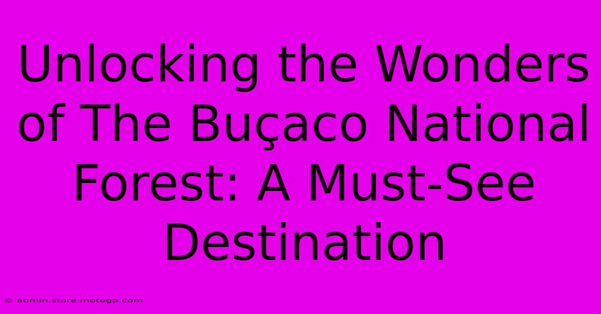 Unlocking The Wonders Of The Buçaco National Forest: A Must-See Destination