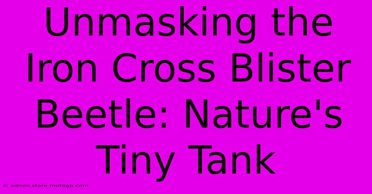 Unmasking The Iron Cross Blister Beetle: Nature's Tiny Tank