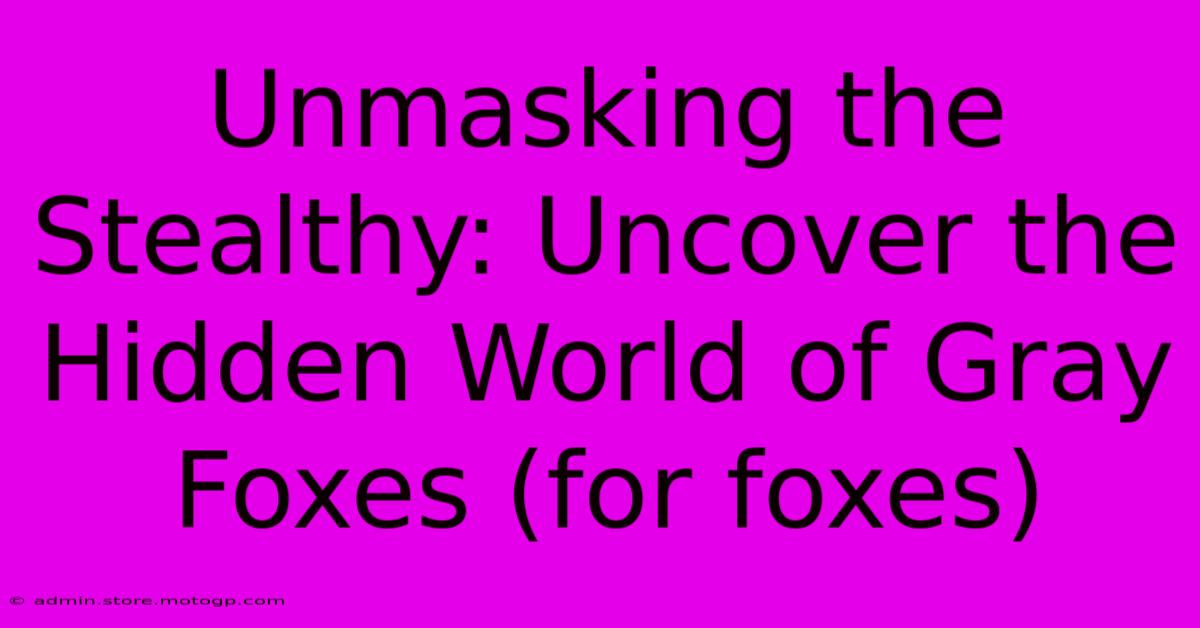 Unmasking The Stealthy: Uncover The Hidden World Of Gray Foxes (for Foxes)