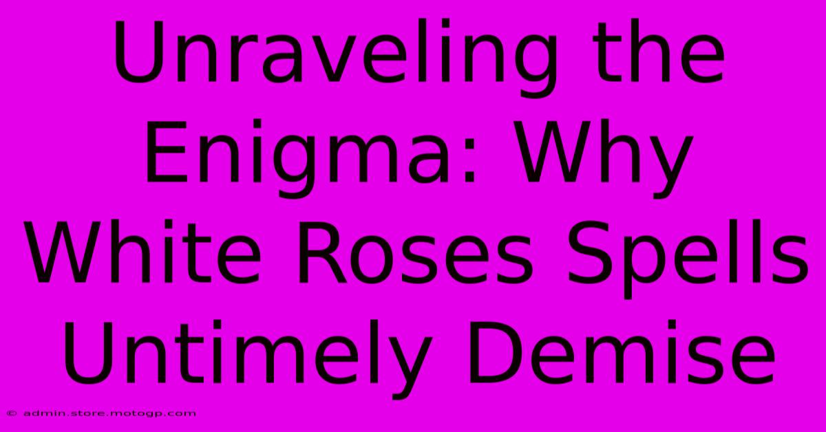 Unraveling The Enigma: Why White Roses Spells Untimely Demise