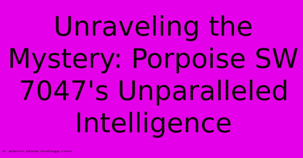 Unraveling The Mystery: Porpoise SW 7047's Unparalleled Intelligence