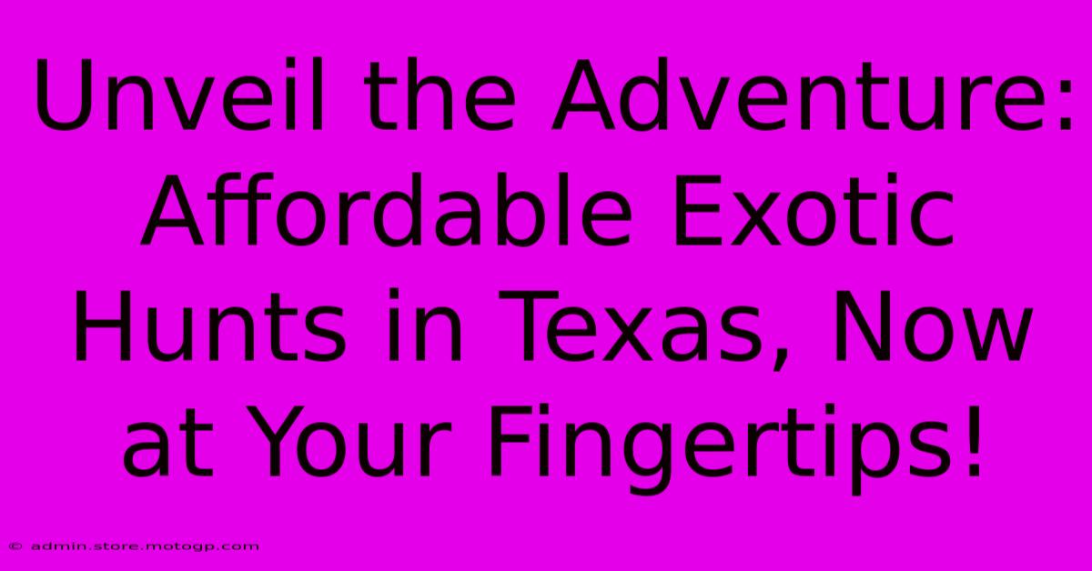 Unveil The Adventure: Affordable Exotic Hunts In Texas, Now At Your Fingertips!